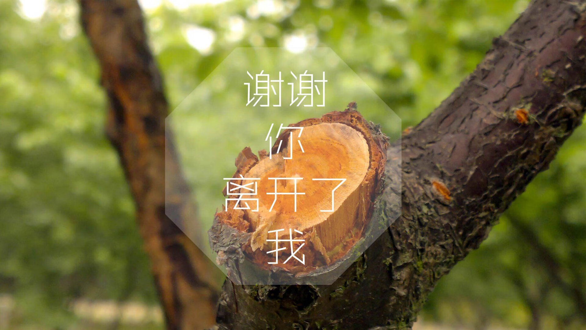 JIUYOU GAMING-球队抗压能力大考：欧冠中的“世纪大战”，新世纪欧冠历届冠军