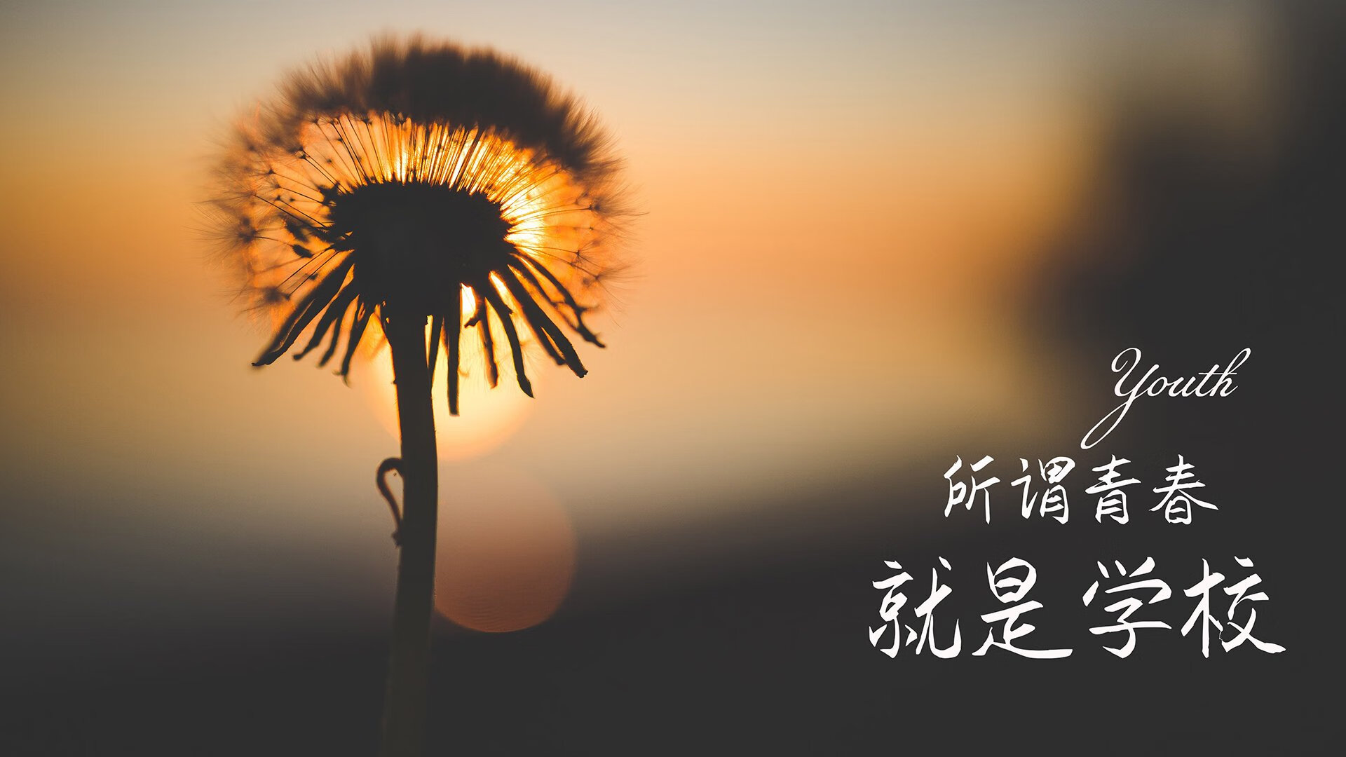 九游官网下载电脑版-中场组织流畅，切尔西控球率全场最高，切尔西最强中场组合
