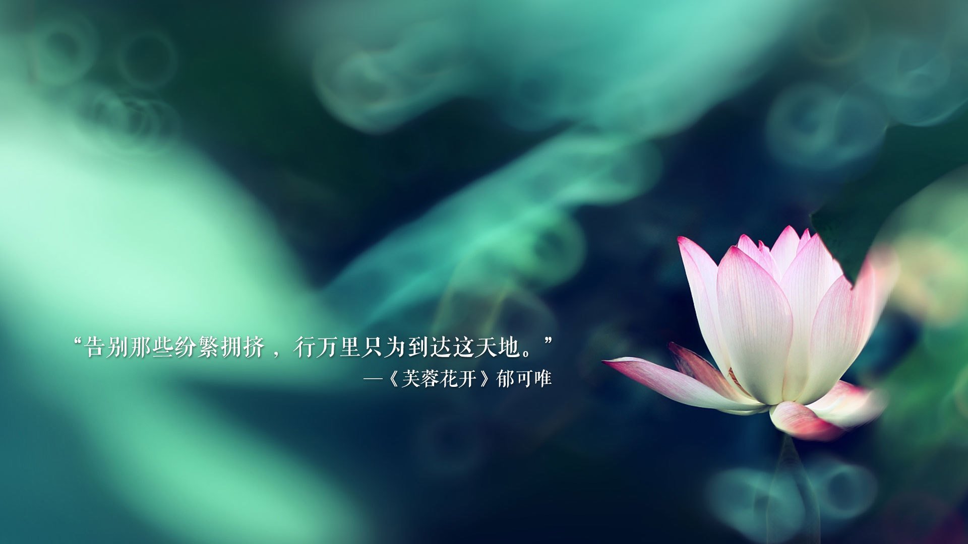 乌拉圭男篮在南美锦标赛中持续崛起，运动实力不断扩大，乌拉圭篮球赛