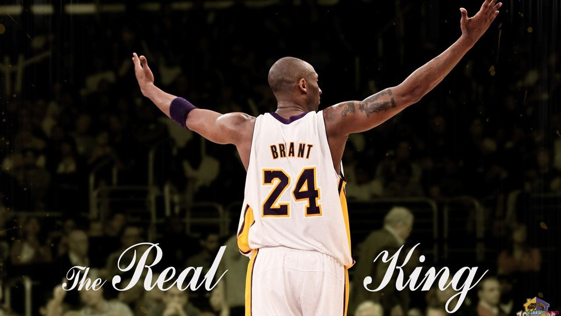 WRC挑战极限:澳大利亚沙漠拉力激烈角逐,澳大利亚西部沙漠